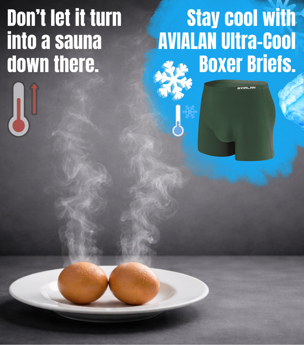 AVIALAN Super Stretch Cooling Boxer Briefs For Men