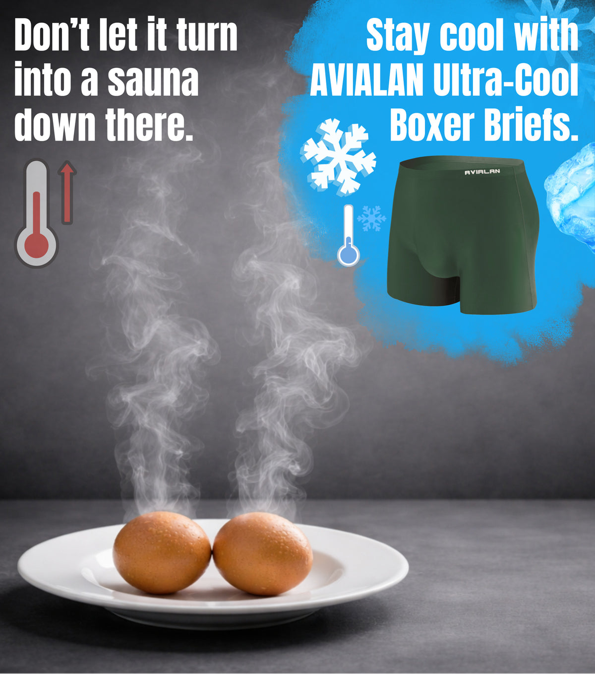 AVIALAN Super Stretch Cooling Boxer Briefs For Men